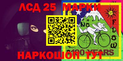 гидра Будённовск