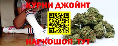 гидра Будённовск