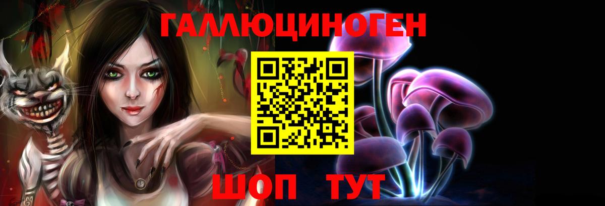 Псилоцибиновые грибы мицелий  Вход с VPN  Приморско-Ахтарск 